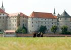 Schloss Hartenfels - Quelle  Torgau-Informations-Center.jpg
